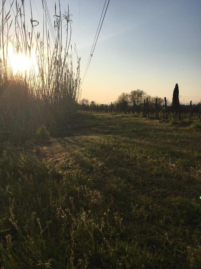 Agriturismo La Casina Nel Vigneto Larciano Exterior photo