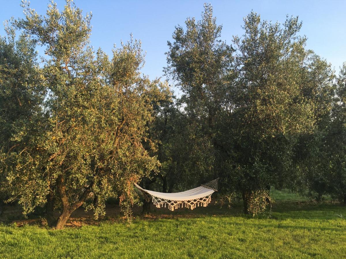Agriturismo La Casina Nel Vigneto Larciano Exterior photo